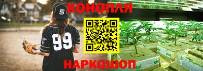 индика Тулун