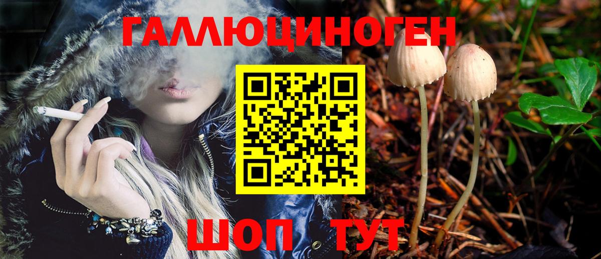 Богородицк  Псилоцибиновые грибы Psilocybine cubensis  Вход с VPN 