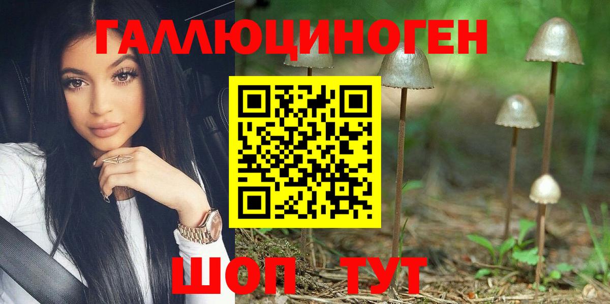 Псилоцибиновые грибы GOLDEN TEACHER Богородицк